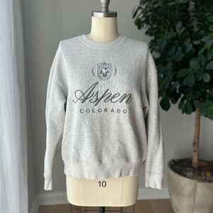 Abercrombie & Fitch Light Gray Aspen Sweatshirt